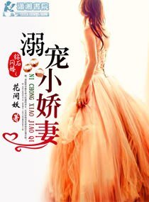 《钻石闪婚之溺宠小娇妻》