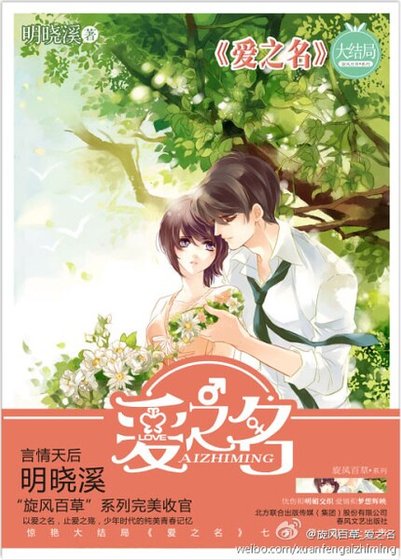 《爱之名》