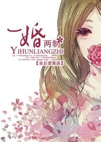《一婚两制(高干)》