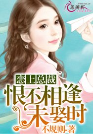 《恋上总裁:恨不相逢未娶时》