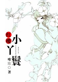 (BG-宏楼梦同人)宏楼小丫鬟