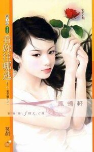 看你往哪逃!(賞金獵人系列之一)