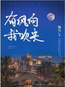 《有風向我吹來》