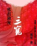 邪君独宠：三宠