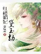 红楼媚妃黛玉劫