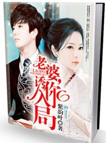 《老婆,誘你入局》