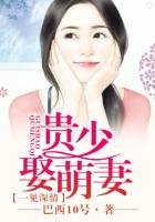 一见深情,总裁强娶妻