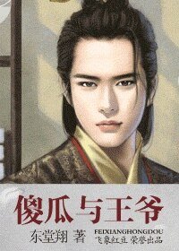 傻瓜与王爷(出书版)