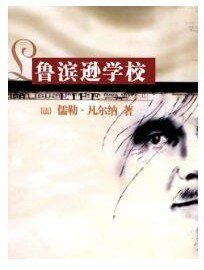 鲁滨逊学校