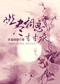 《燃盡相思寸寸灰》