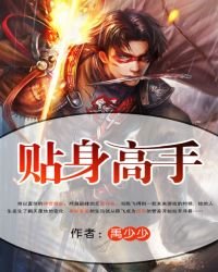 《贴身高手》