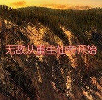 《無敵從重生仙帝開始》