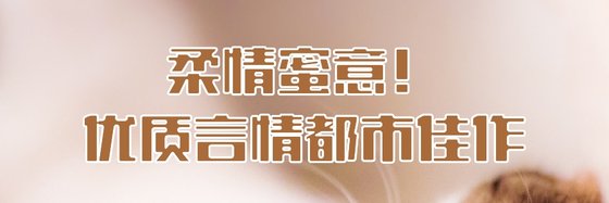 柔情蜜意！优质言情都市佳作