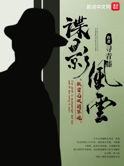 《谍影风云/民国谍影》