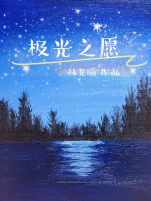 《极光之愿》