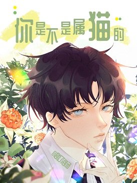 《你是不是屬貓的/小孩兒》