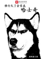 《修行久了会变成哈士奇》