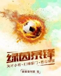 《绿茵暴锋》