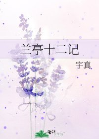 《兰亭十二记》
