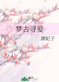 《梦古寻爱》