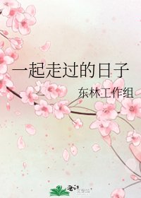 《一起走过的日子》