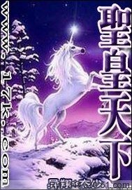 《圣皇天下》