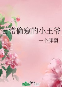 《日常偷窥的小王爷》