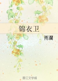 《锦衣卫》