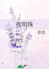 《夜明珠》