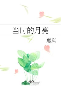 《当时的月亮》