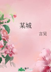 《某城》