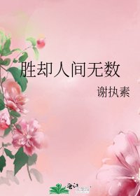 《胜却人间无数》