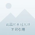 和敌国质子HE了