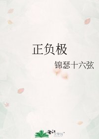 《正负极》