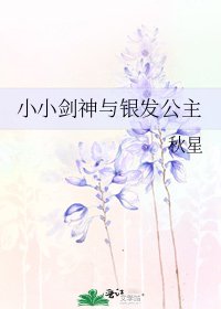 《小小剑神与银发公主》