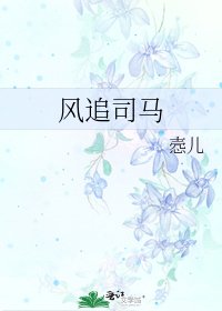 《风追司马》