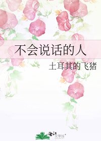 不会说话的人