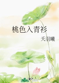 《桃色入青衫》