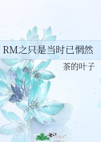 RM之只是当时已惘然