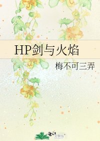《HP剑与火焰》