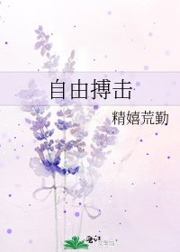 自由搏击