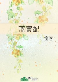 《蓝黄配》