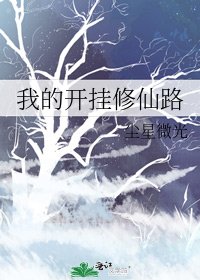 我的开挂修仙路