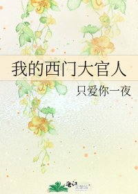 《我的西门大官人》