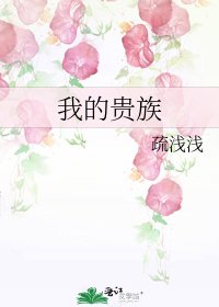 《我的贵族》