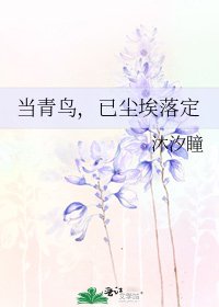《当青鸟,已尘埃落定》