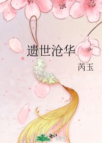 《遗世沧华》