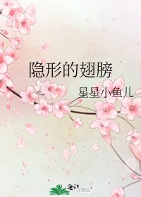 《隐形的翅膀》