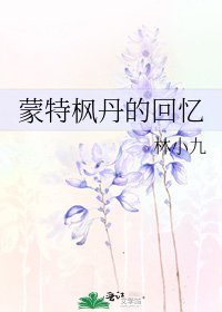 《蒙特枫丹的回忆》