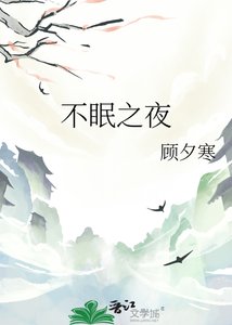 《不眠之夜》